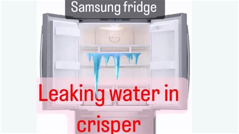 why is my samsung refrigerator leaking water|Samsung Refrigerator Leaking Water: 6 Easy Ways To Fix It